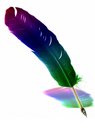 Rainbow-Quill--54353.jpg